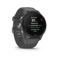 Load image into Gallery viewer, Garmin Forerunner 255
